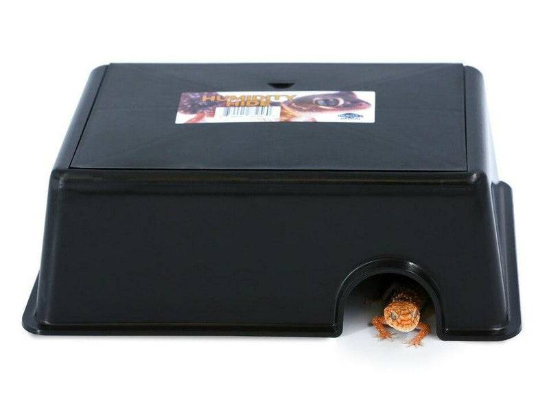 Pangea Humidity Hide - Pisces Pet Emporium