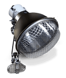 Arcadia Ceramic Clamp Lamp - Graphite - Pisces Pet Emporium