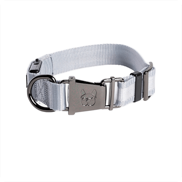 Silver Paw Country Living LED Light Glow Collar - Pisces Pet Emporium