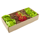 Oxbow Enriched Life Garden Dig Box - Pisces Pet Emporium