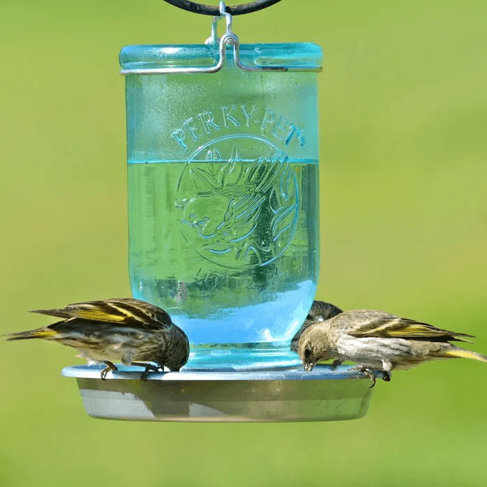 Perky Pet Mason Jar Bird Waterer - Pisces Pet Emporium