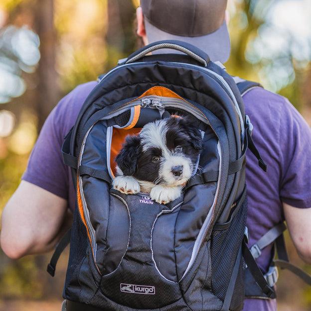 Kurgo G-Train K9 Dog Carrier Hiking Backpack | Pisces