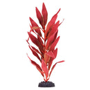 Underwater Treasures Red Hygro | Pisces
