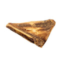 Roam Bucky Chucky | Pisces