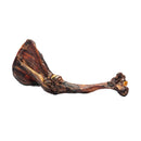 Roam Big Bondi Kangaroo Forearm | Pisces