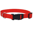Coastal Adjustable Dog Collar - Pisces Pet Emporium