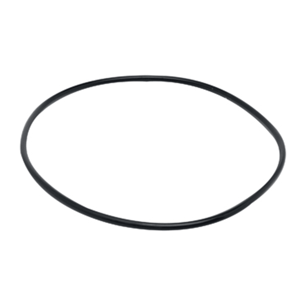 Fluval 304/404/305/405/306/406 Motor Seal Ring - Pisces Pet Emporium