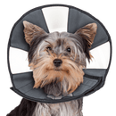 ZenPet Zen Cone - Small - Pisces Pet Emporium