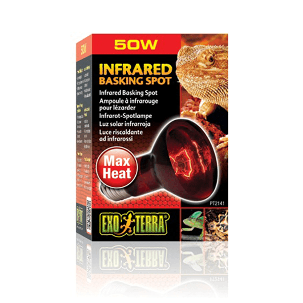 Exo Terra Infrared Basking Spot - 50 W - Pisces Pet Emporium