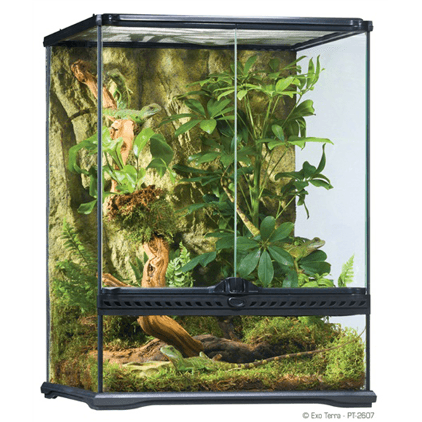 Exo Terra Small Tall Terrarium - 18" x 18" x 24" - Pisces Pet Emporium