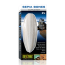 Exo Terra Sepia Bones 2 Pack - Pisces Pet Emporium