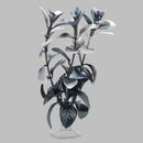 Marina Betta Plant Red Ludwigia - Pisces Pet Emporium