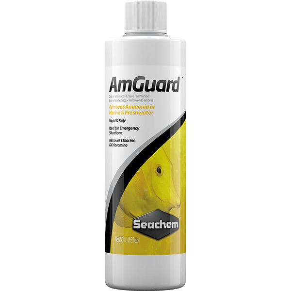 Seachem AmGuard™ - Pisces Pet Emporium