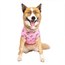 Canada Pooch Follow Me Tee - Pisces Pet Emporium