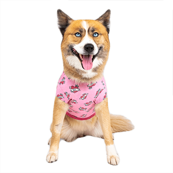 Canada Pooch Follow Me Tee - Pisces Pet Emporium