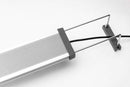 Twinstar B Line LED Lights Tank Planted | Pisces
