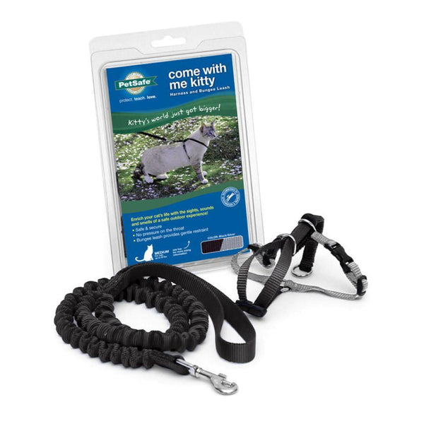 Pet Safe Come With Me Kitty Harness - Black & Silver - Pisces Pet Emporium