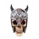 Aqua Fit Medieval Skull - Pisces Pet Emporium