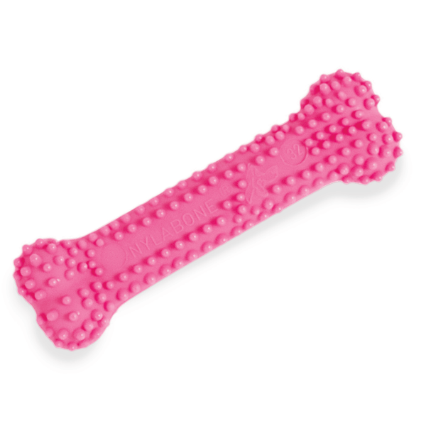 Nylabone Blue Dental Chew Petite - Pisces Pet Emporium