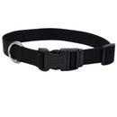 Coastal Adjustable Dog Collar - Pisces Pet Emporium