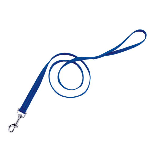 Coastal Pet Nylon Leash Blue - 3/8" x 4' - Pisces Pet Emporium