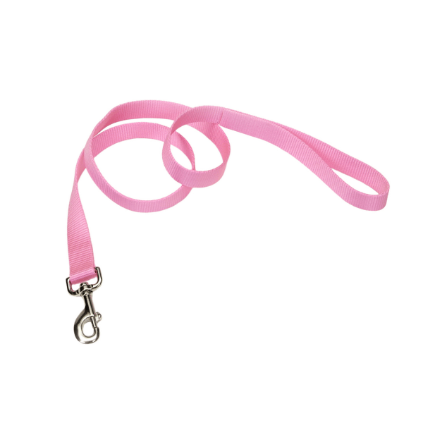 Coastal Pet Nylon Leash Bright Pink - 1" x 4' - Pisces Pet Emporium