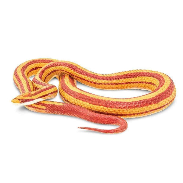 Safari Ltd. Corn Snake - Pisces Pet Emporium