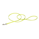 Coastal Pet Nylon Leash Lime - 3/8" x 4' - Pisces Pet Emporium