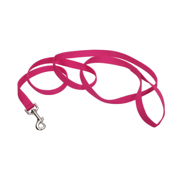 Coastal Pet Nylon Leash Flamingo - 1" x 6' - Pisces Pet Emporium