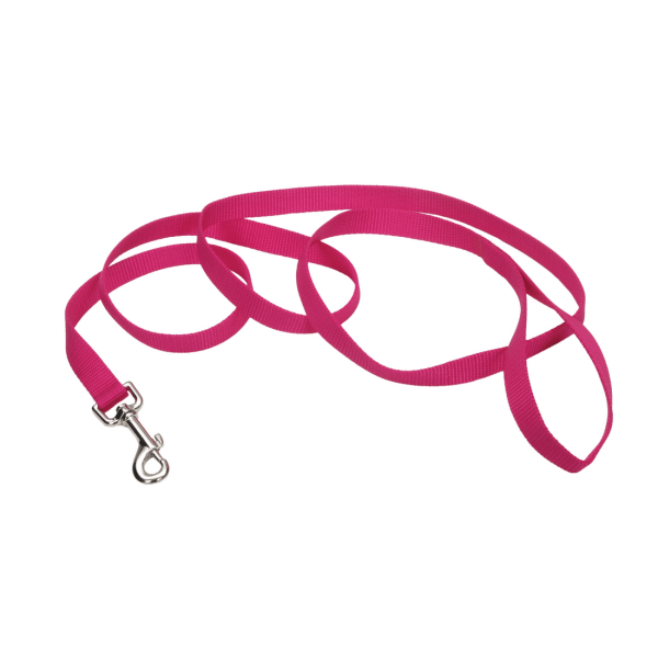 Coastal Pet Nylon Leash Flamingo - 3/4" x 6' - Pisces Pet Emporium