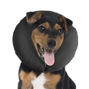 ZenPet Zen Collar The Original Pro Collar - X-Small - Pisces Pet Emporium