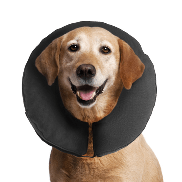 ZenPet Zen Collar The Original Pro Collar - X-Large - Pisces Pet Emporium