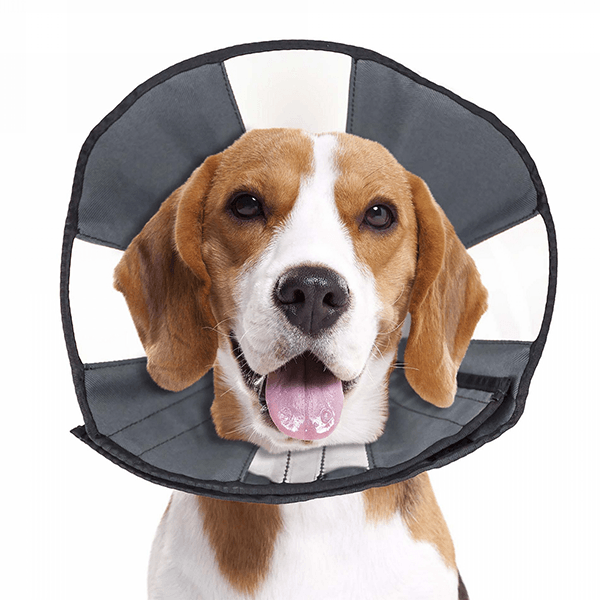 ZenPet Zen Cone - Medium - Pisces Pet Emporium
