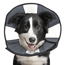 ZenPet Zen Cone - Large - Pisces Pet Emporium
