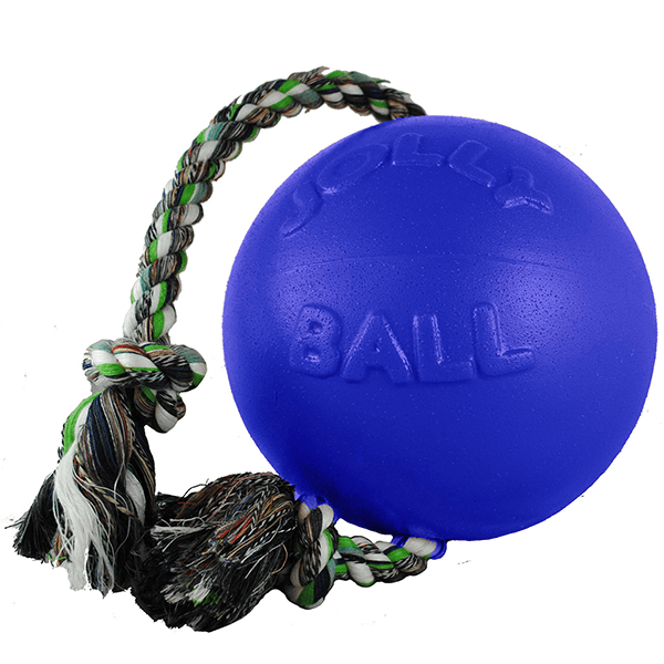 Jolly Pets Romp-N-Roll - Small - Pisces Pet Emporium