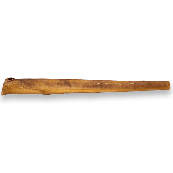 Silver Spur Asado - Jumbo Bully Stick 12" - Pisces Pet Emporium