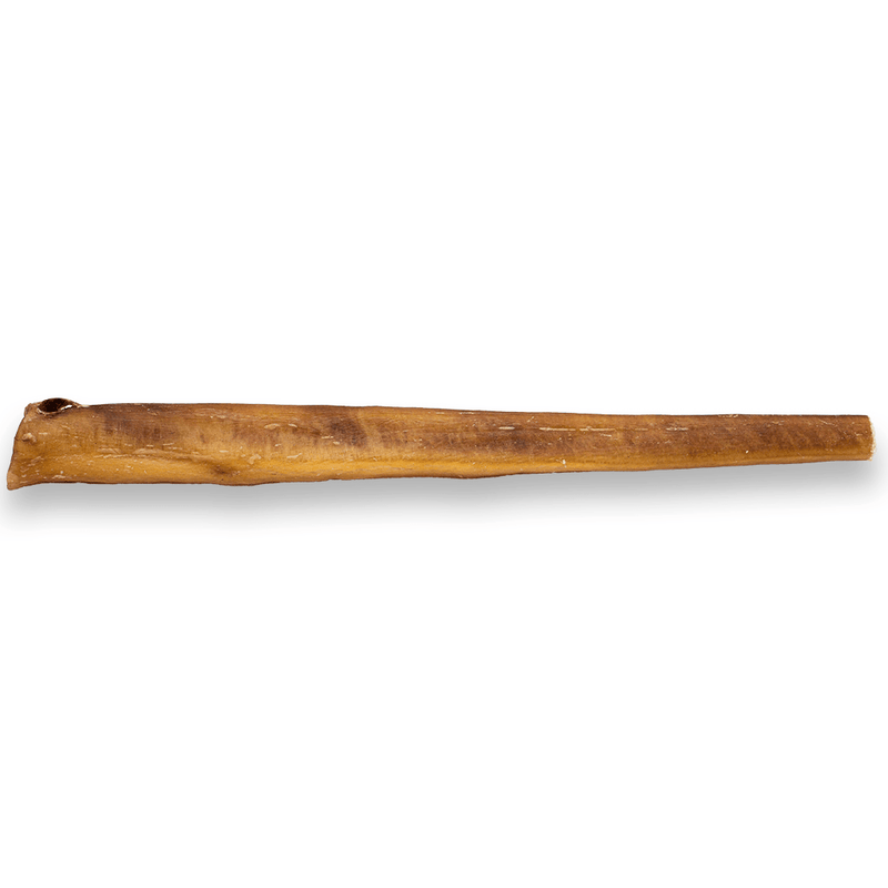 Silver Spur Asado - Jumbo Bully Stick 12" - Pisces Pet Emporium