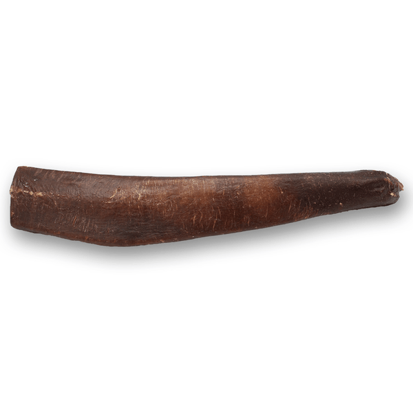 Silver Spur Asado - Esophagus Wrapped Beef Rib 12" - Pisces Pet Emporium