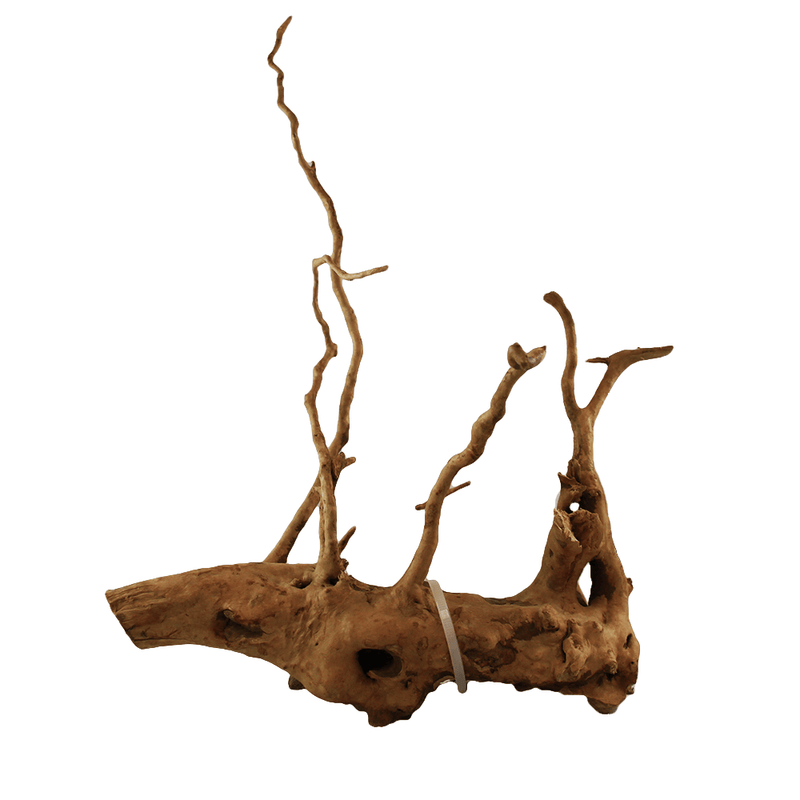 Aquaglobe Spider Wood - Medium - Pisces Pet Emporium