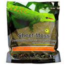 Galapagos Sheet Moss - Pisces Pet Emporium