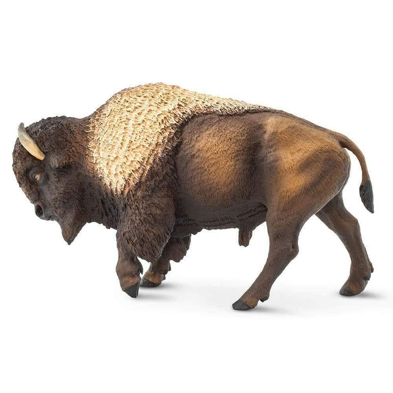 Safari Ltd. Bison - Pisces Pet Emporium