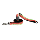 RC Pets Watermelon Leash - Available in Multiple Sizes - Pisces Pet Emporium