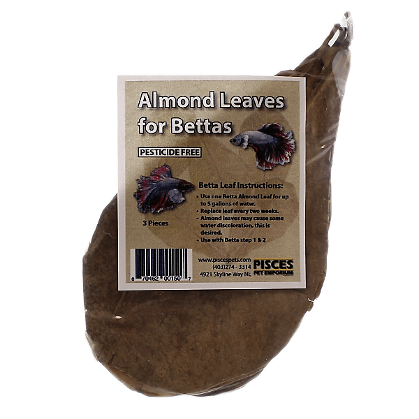 Pisces Almond Leaves for Bettas - Medium - Pisces Pet Emporium