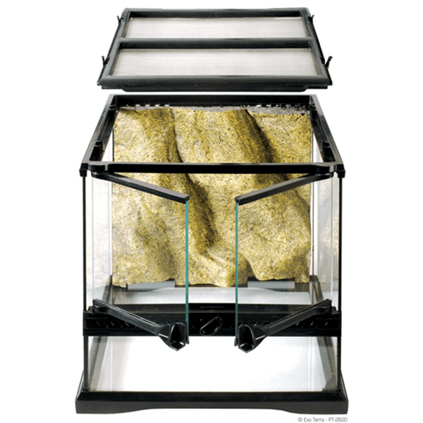 Exo Terra Mini Wide Terrarium - 12" x 12" x 12" - Pisces Pet Emporium