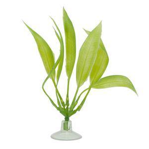 Marina Betta Sword Plant with Suction Cup - Pisces Pet Emporium