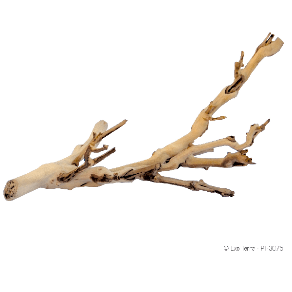 Exo Terra Forest Branch - Pisces Pet Emporium