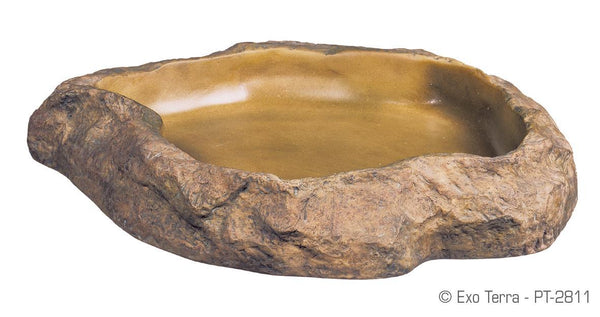 Exo Terra Feeding Dish - Pisces Pet Emporium