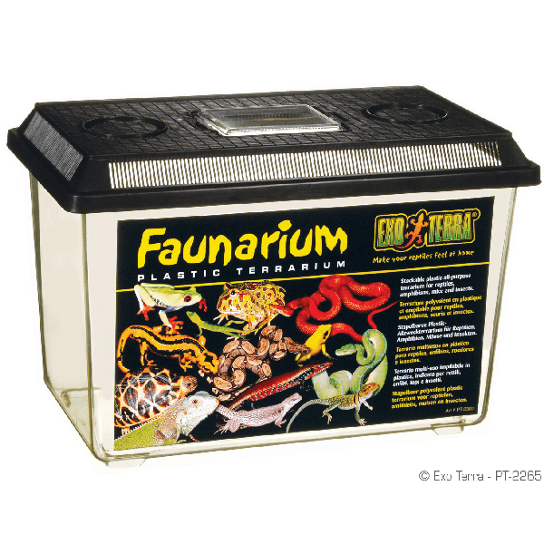 Exo Terra Faunarium - Pisces Pet Emporium