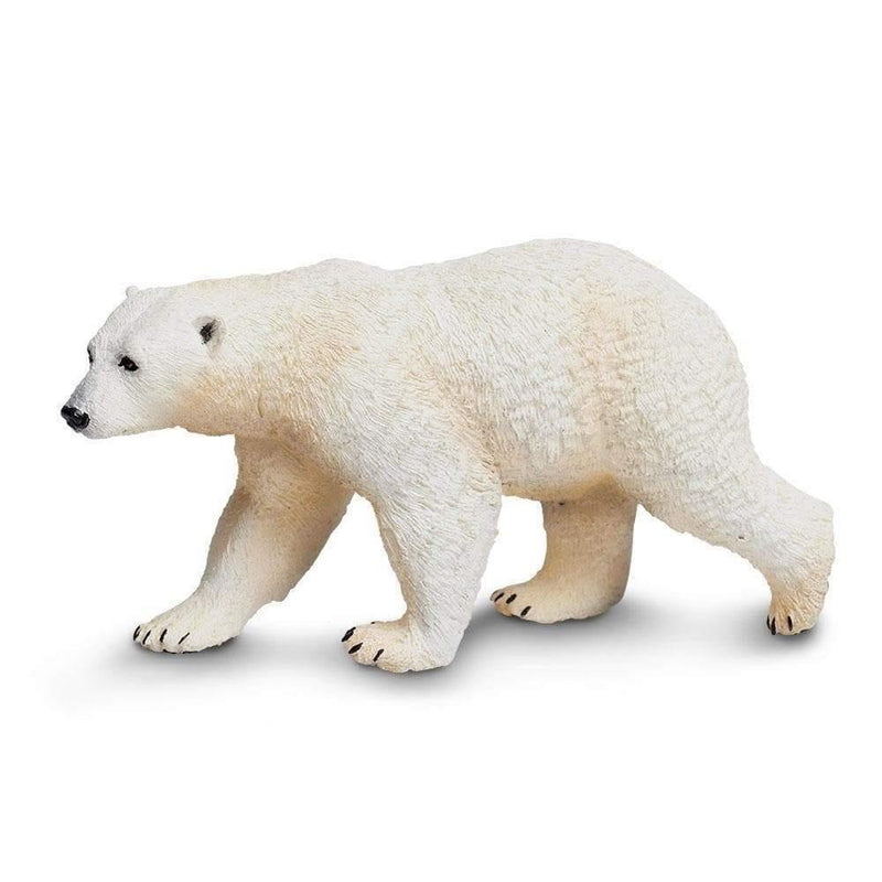 Safari Ltd. Polar Bear - Pisces Pet Emporium