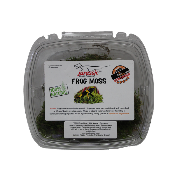 Jurassic Reptile Products - Frog/Sphagnum Moss Container - Pisces Pet Emporium